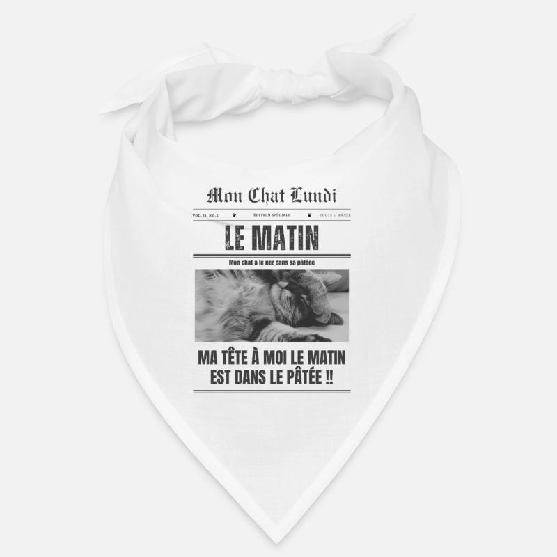  Lundi matin - mon chat Bandana