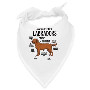 Anatomie eines Labradors – Lustiges Hunde Design - Bandana - Weiß - Vorne