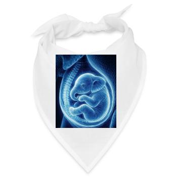 Blaues Ultraschallbaby im Mutterleib - Bandana - Weiß - Vorne