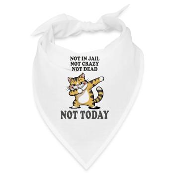 Nicht heute lustige Katze Sarkasmus Design - Bandana - Weiß - Vorne