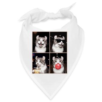 Katzen American Curl Katze - Bandana - Weiß - Vorne