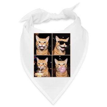 Katzen orange Tabby Katze - Bandana - Weiß - Vorne