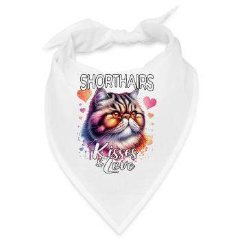 Exotische Kurzhaarkatze Liebe - Bandana - Weiß - Vorne