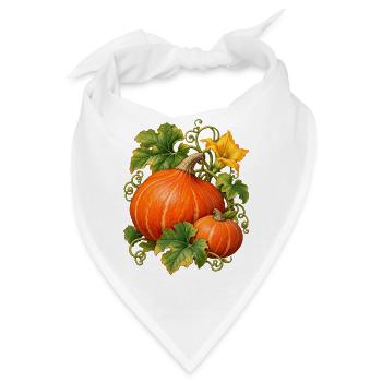 Hokkaido Kürbisernte - Bandana - Weiß - Vorne