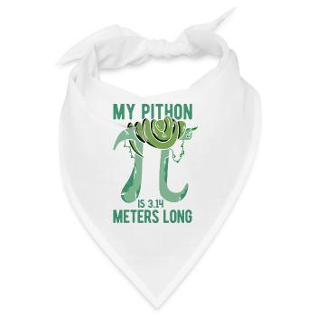 Reptilien Für Fans Von Schlangen - Bandana - Weiß - Vorne