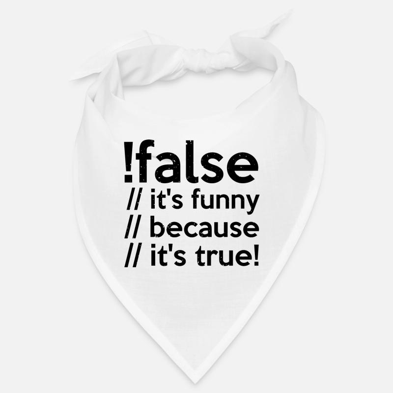 Programmer false true Computer Scientist Student Code Bandana
