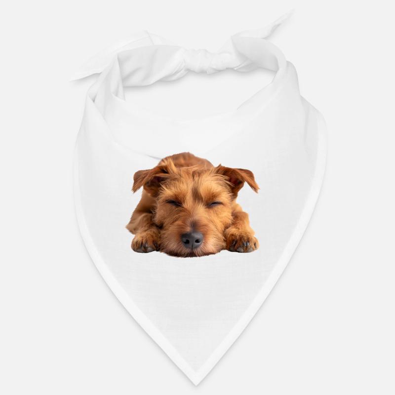 Terrier irlandais Bandana