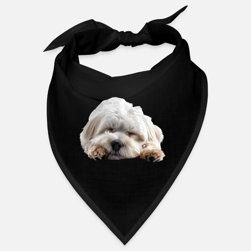 Coton de tuléar Bandana