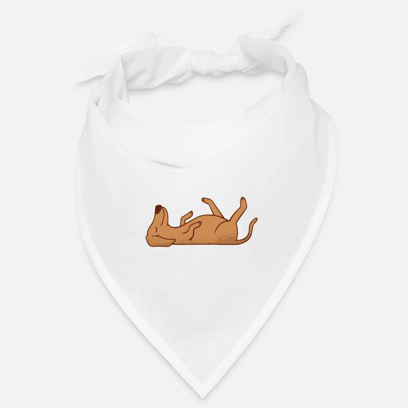 Anatomie d’un Vizsla Bandana