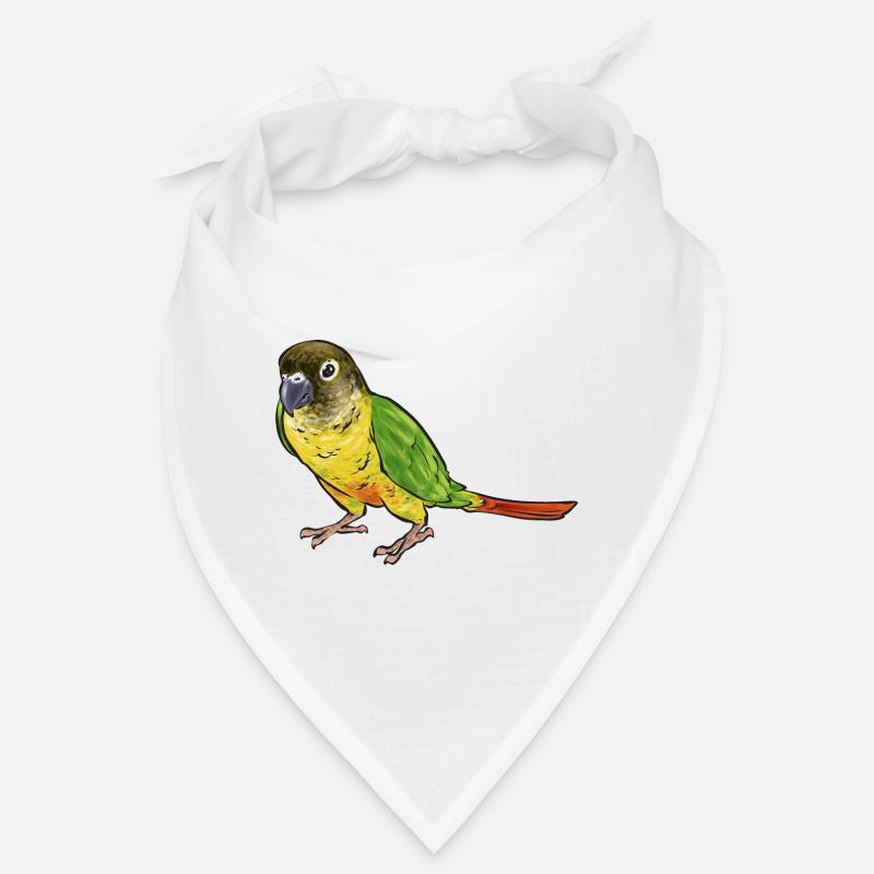Perruche Molina Perroquet Perruche oiseau Bandana