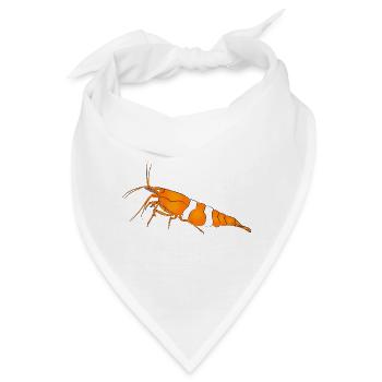 Garnele, shrimp Neocaridina davidi, Aquarium - Bandana - Weiß - Vorne