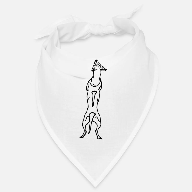 Ridgeback Rücken Bandana