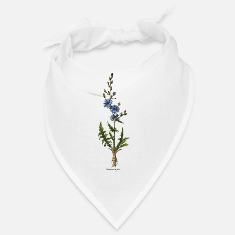 Chicoree Bandana