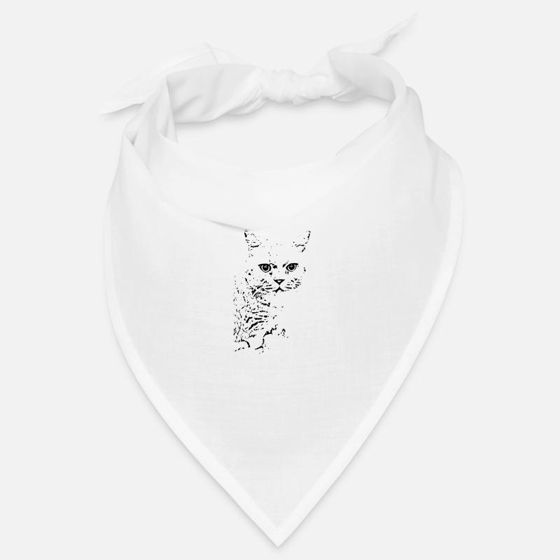 British Shorthair Chat Chat Noir Chats Bandana