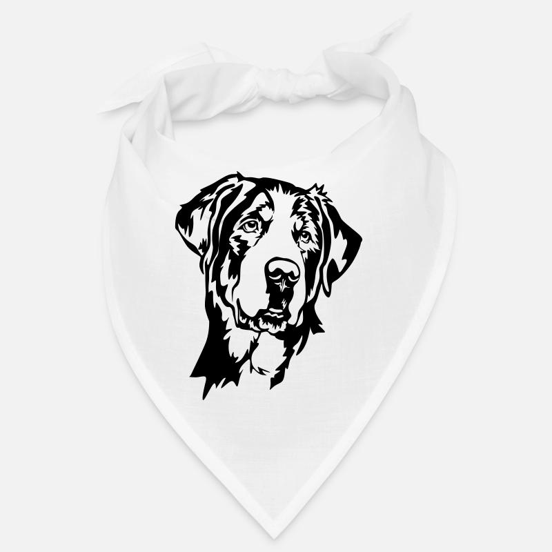 Großer Schweizer Sennenhund Kopf Bandana