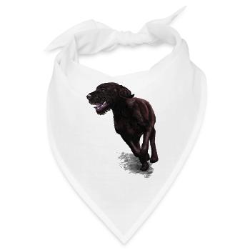 Drahthaar im Galopp - Bandana - Weiß - Vorne