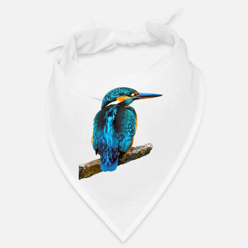 Martin-pêcheur Alcedo à ce Bandana
