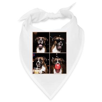 Hunde Boxer Hund - Bandana - Weiß - Vorne