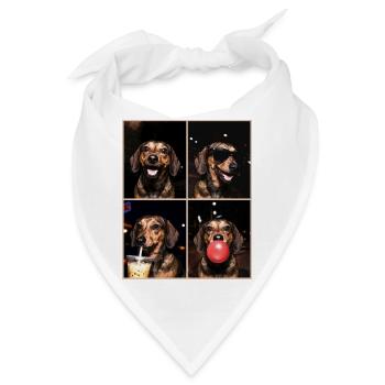 Hunde Dackel Hund - Bandana - Weiß - Vorne