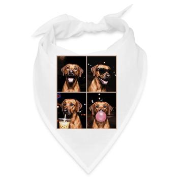 Hunde Rhodesian Ridgeback Hund - Bandana - Weiß - Vorne