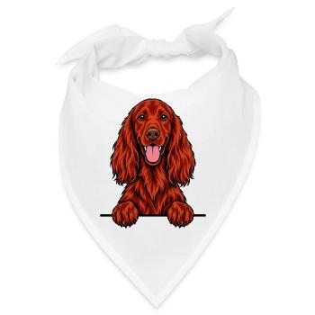 Irischer Setter - Bandana - Weiß - Vorne