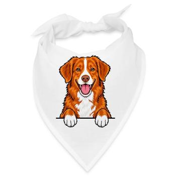 Nova Scotia Duck Tolling Retriever - Bandana - Weiß - Vorne
