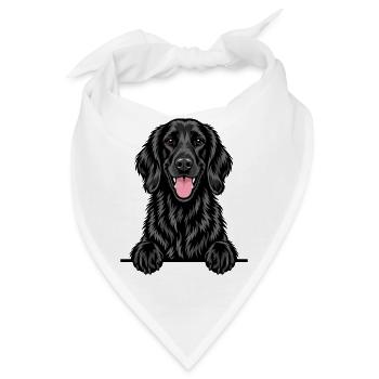 Flat Coated Retriever - Bandana - Weiß - Vorne