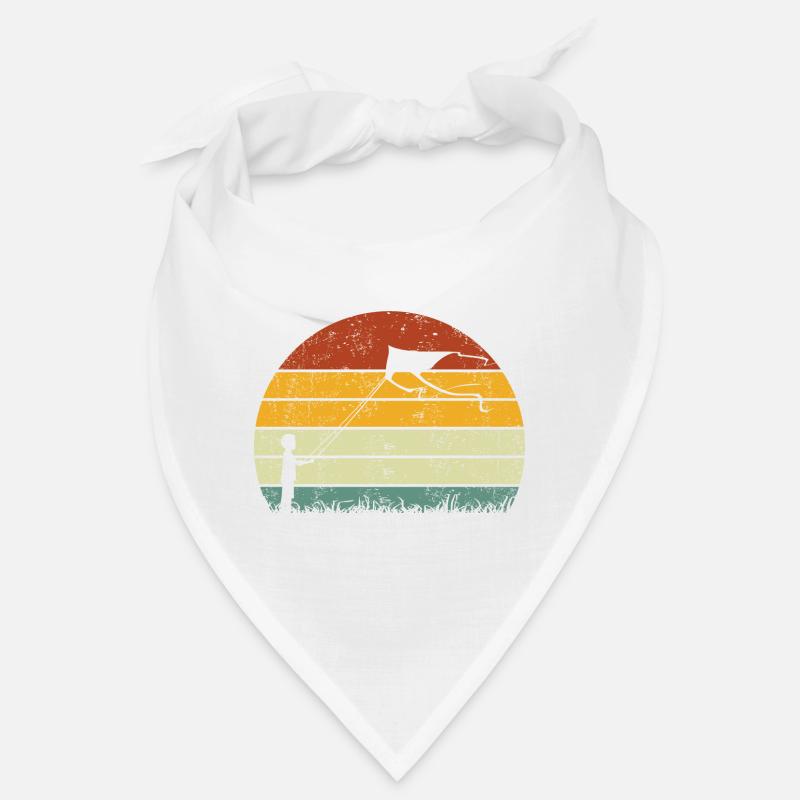 Drachensteigen Drachen Steigen lassen Vintage Bandana