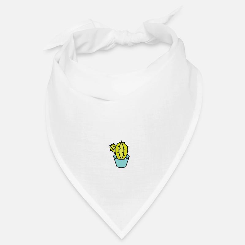 Petit cactus vert en pot Bandana