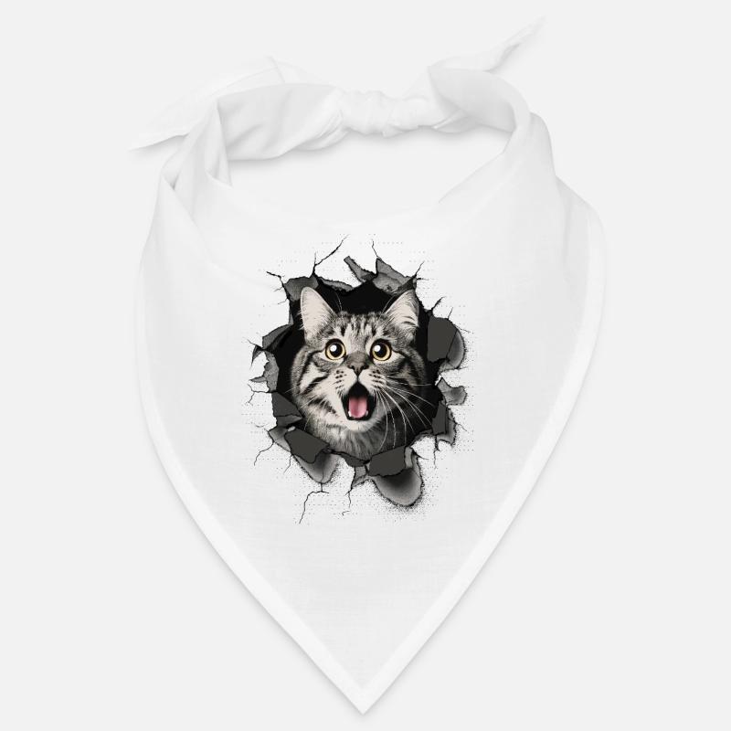 Katze erschrocken Mauer Durchbruch Risse  Bandana