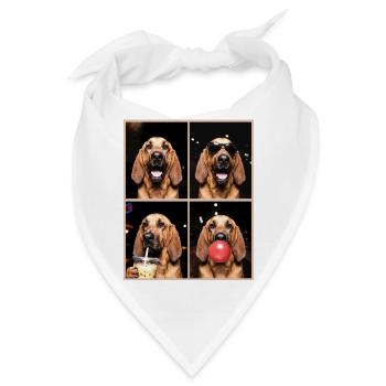Hunde Bluthund Hund - Bandana - Weiß - Vorne
