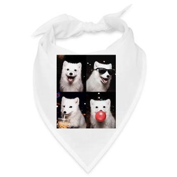 Polarfüchse Polarfuchs - Bandana - Weiß - Vorne
