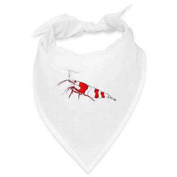 Garnele, shrimp Neocaridina davidi, Aquarium - Bandana - Weiß - Vorne