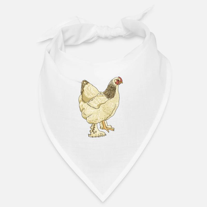 Brahma Bandana