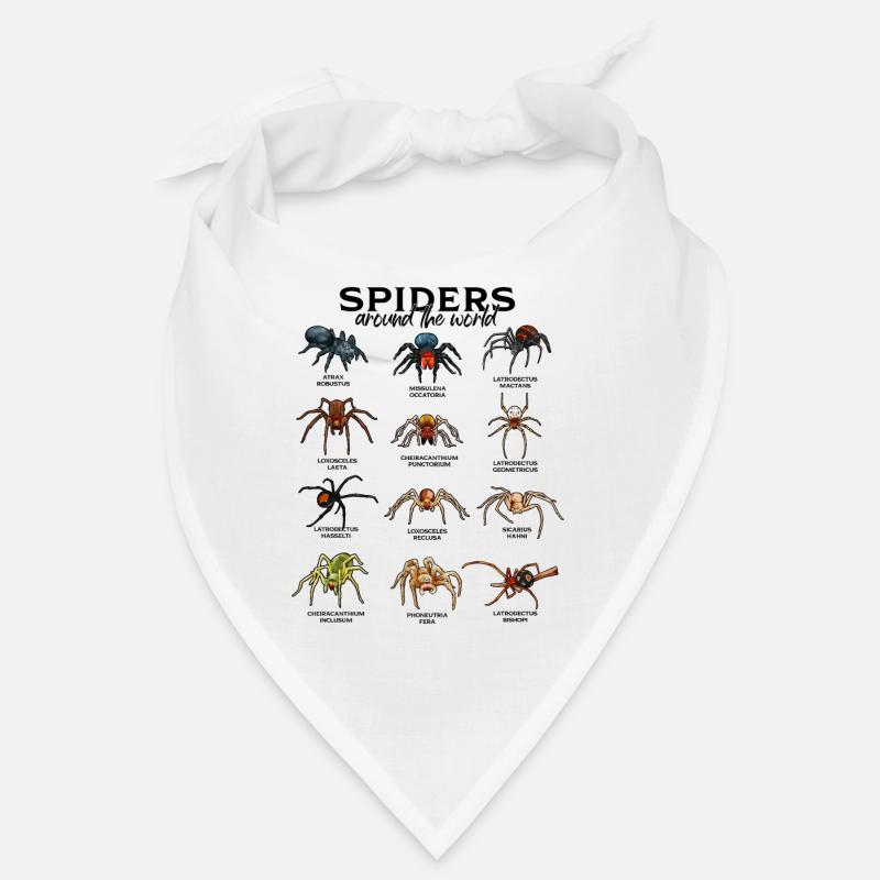 Araignées dans le monde - Araignées Bandana