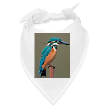 Eisvogel auf dem Ast - Bandana - Weiß - Vorne