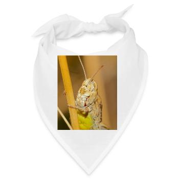 Makrofotografie einer Heuschrecke in Details - Bandana - Weiß - Vorne