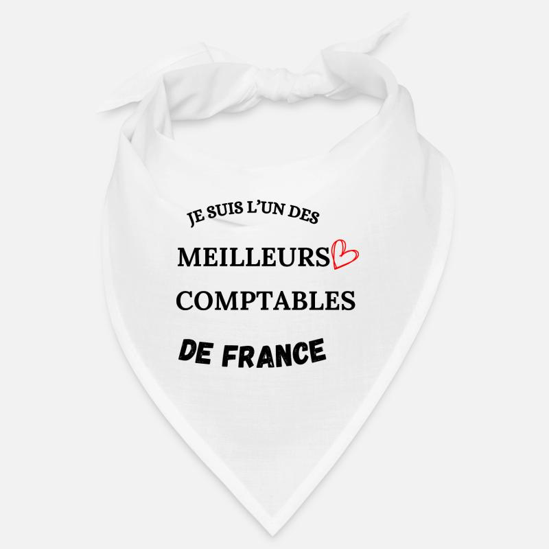 Buchhalter - Wirtschaft - Buchhaltung Bandana