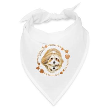 Havaneser - Bandana - Weiß - Vorne