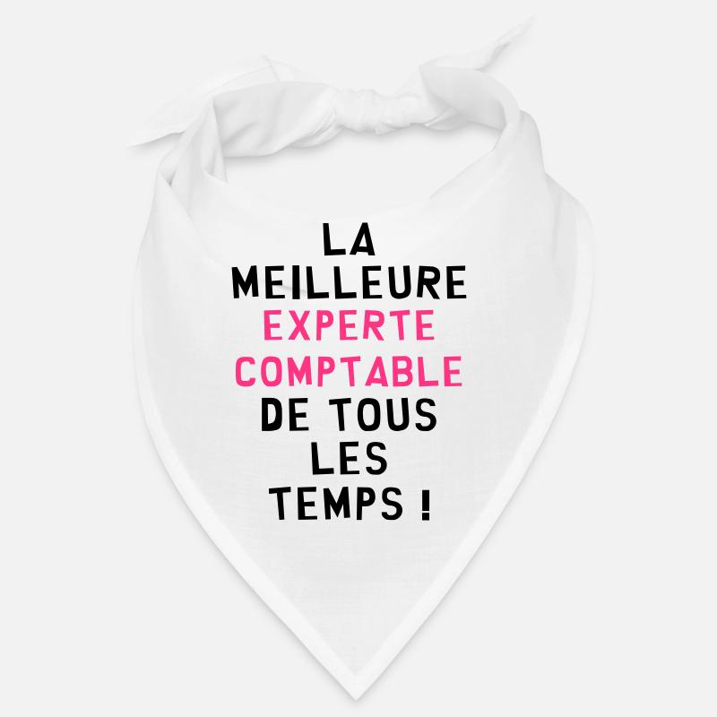 Expert Comptable / Comptabilité / Comptable / Bandana
