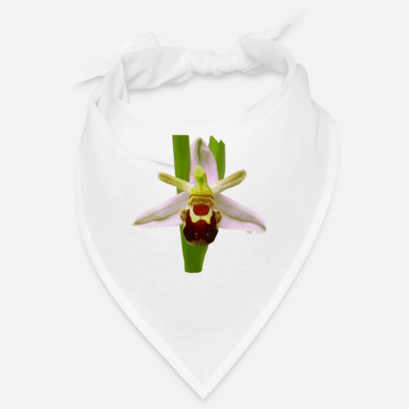 Die Bienen Ragwurz ist ein Orchideen Gewächs Bandana