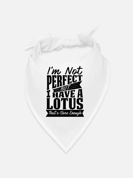 PERFECT WITH LOTUS CAR - Bandana - white