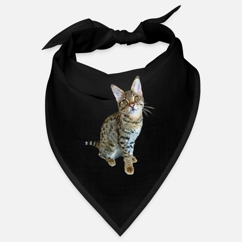 Tabby Bandana