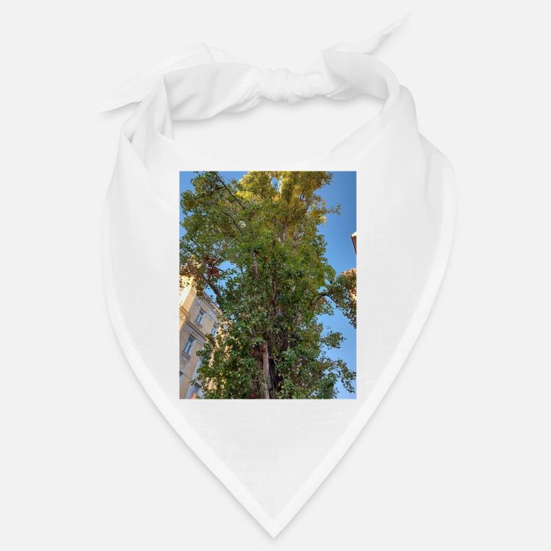 Baum mitten in der Stadt Bandana