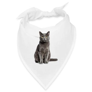 Graue Katze – Sanft, stilvoll & zum Verlieben! - Bandana - Weiß - Vorne