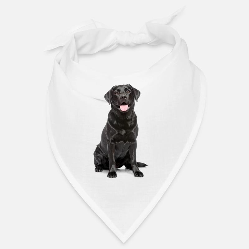 Black Labrador – Loyal, Lovable & Charming Bandana