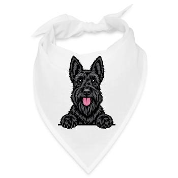 Scottish Terrier - Bandana - Weiß - Vorne