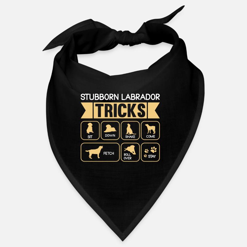 Stubborn labrador tricks Bandana