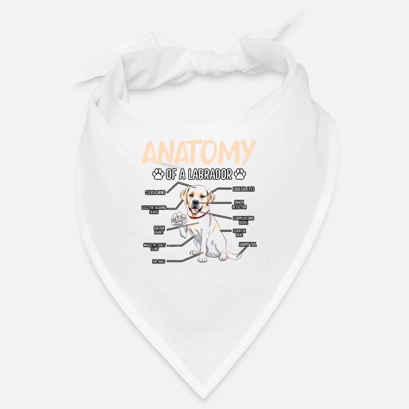 Anatomie du Labrador Bandana