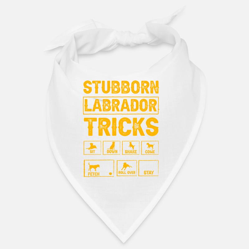 Stubborn labrador tricks Bandana